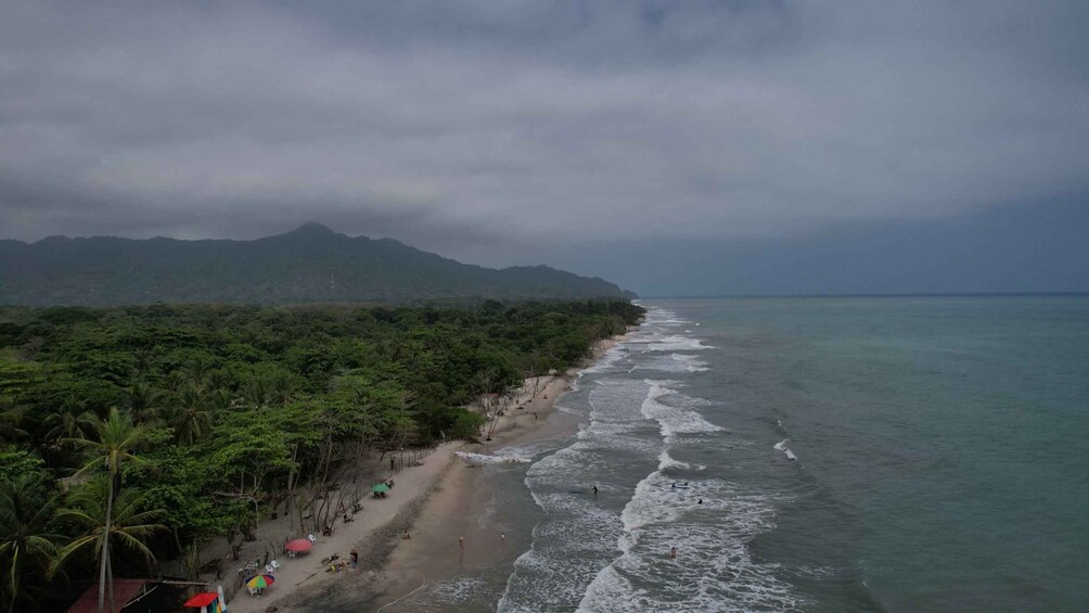 Picture 5 for Activity Palomino: Horseback Riding Tour on Palomino Beach