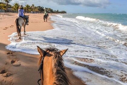 Palomino: Horseback Riding Tour on Palomino Beach