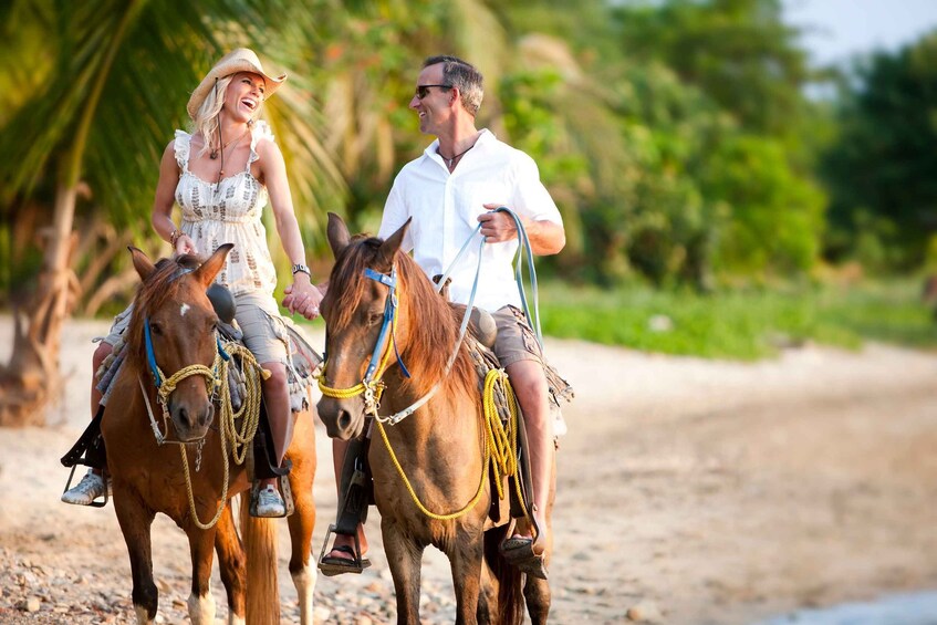 Picture 1 for Activity Palomino: Horseback Riding Tour on Palomino Beach