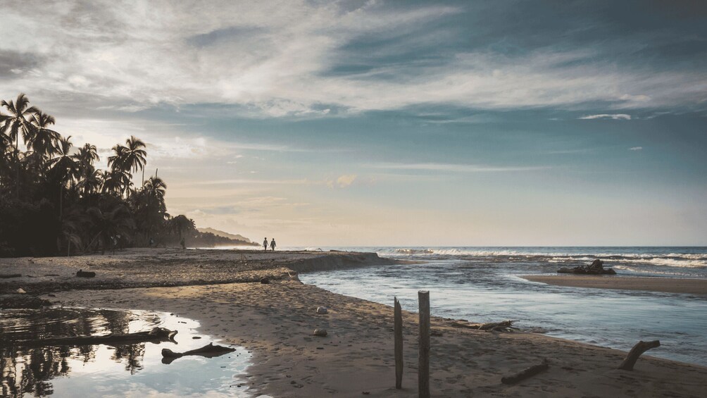 Picture 3 for Activity Palomino: Horseback Riding Tour on Palomino Beach