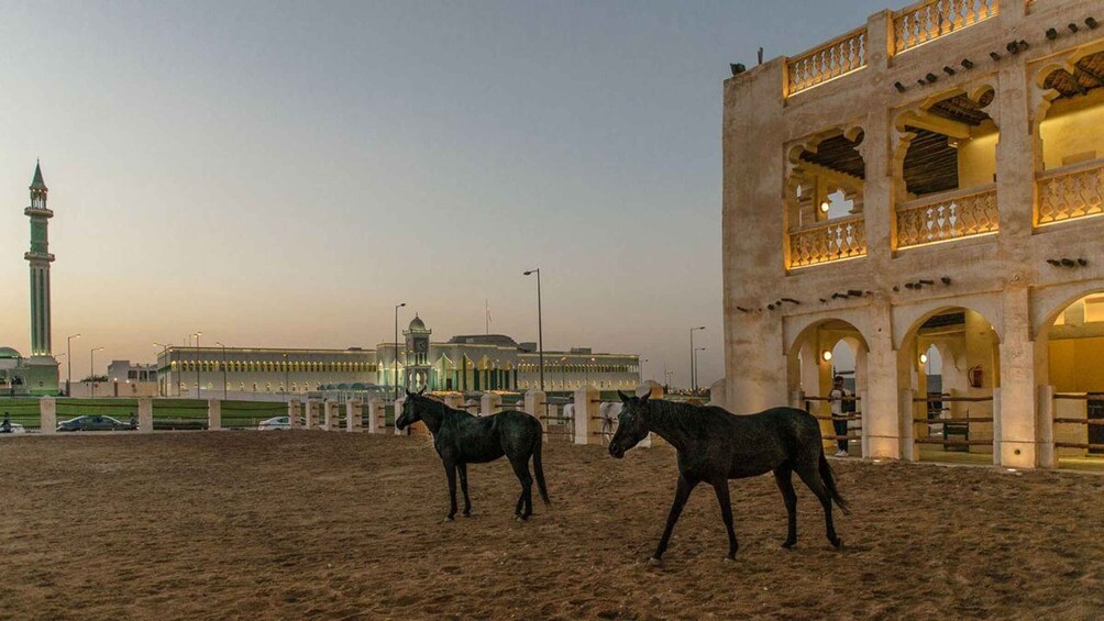 Picture 6 for Activity Doha Guided City Tour to Souq Waqif, Katara, & Pearl-Qatar