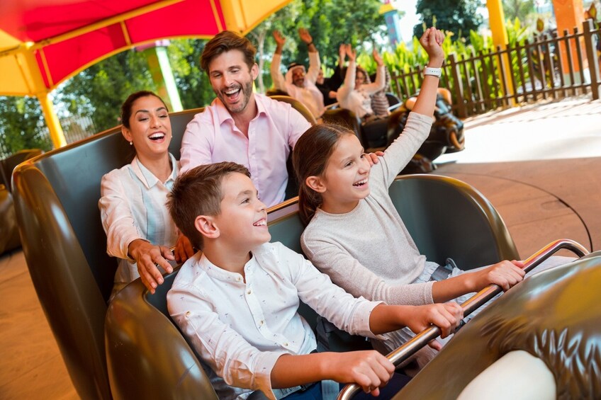 Show item 3 of 10. One Park Pass - BOLLYWOOD PARKS™ Dubai