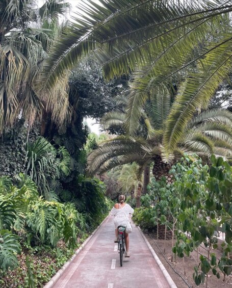 Picture 7 for Activity Malaga: E-Bike Sightseeing Tour