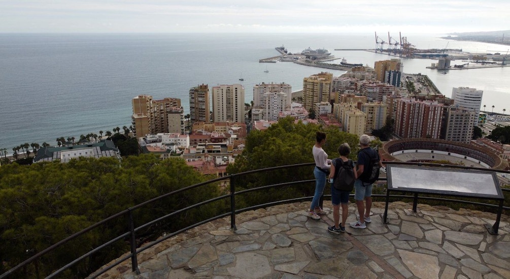 Picture 3 for Activity Malaga: E-Bike Sightseeing Tour