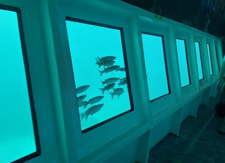 Picture 26 for Activity From Marmaris: Day Trip by Glass Bottom Semi Submarine