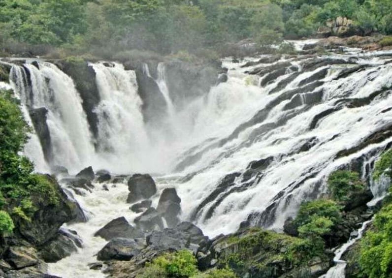 Picture 2 for Activity Day Trip to Shivanasamudram (Guided Tour from Bangalore)