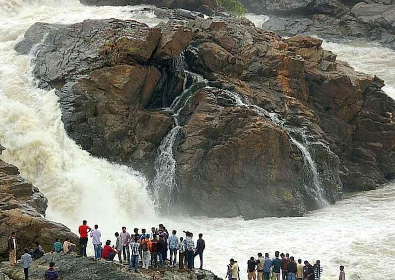 Picture 3 for Activity Day Trip to Shivanasamudram (Guided Tour from Bangalore)