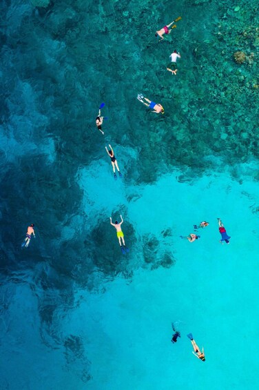 Picture 5 for Activity Snorkeling in The Red Sea With Equipment And Free Transfer