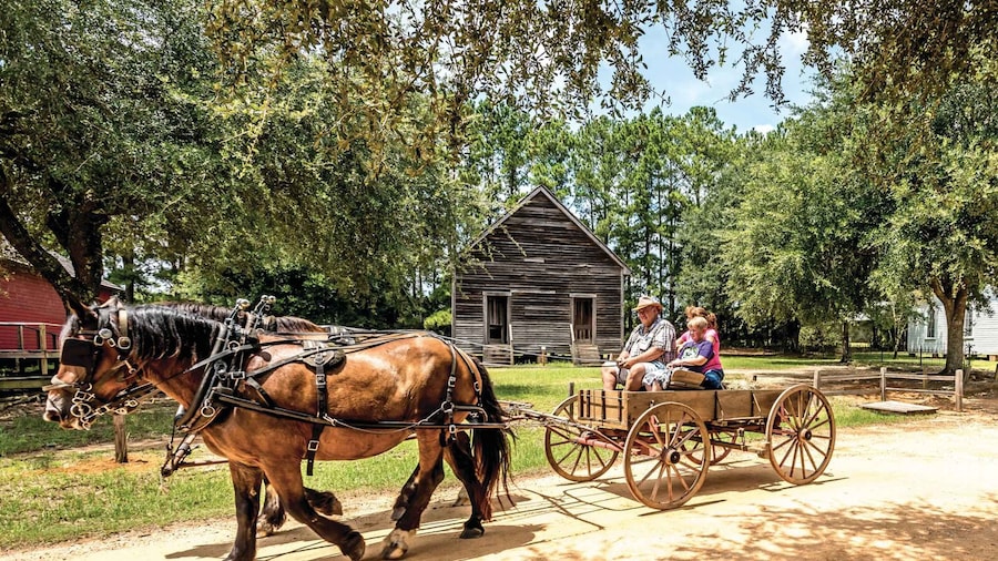 Alabama: Dothan-Eufaula Area Multi-Attraction Pass