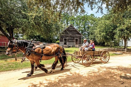 Alabama: Dothan-Eufaula Area Multi-Attraction Pass