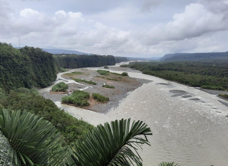 Picture 7 for Activity Amazonia y aventuras en Puyo y Baños de Agua Santa