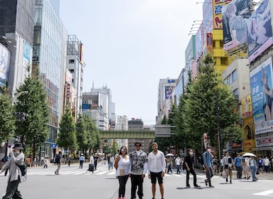 Akihabara Culinary and Culture Adventure: Your Personalized