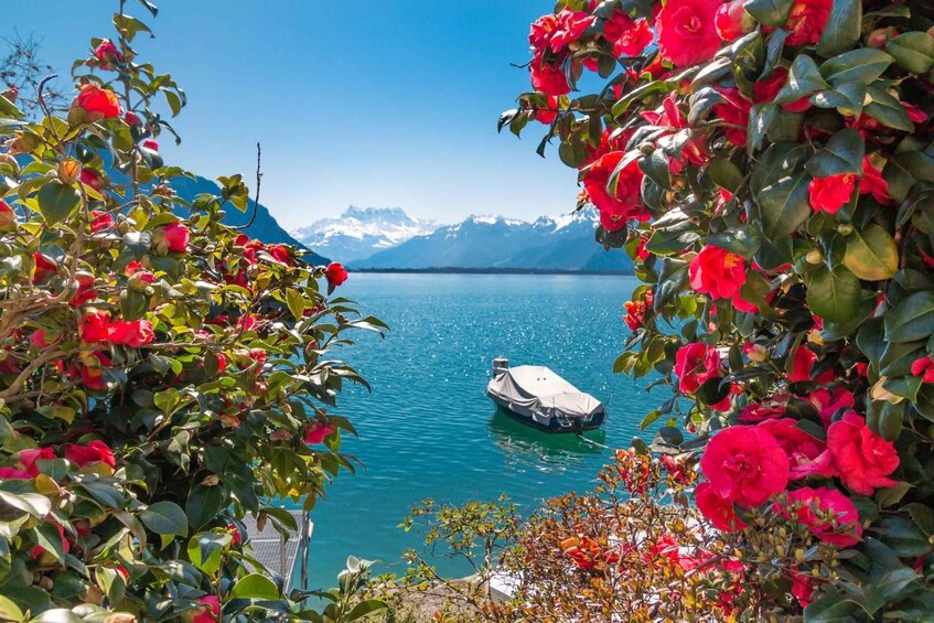 Picture 3 for Activity Montreux: Capture the most Photogenic Spots with a Local