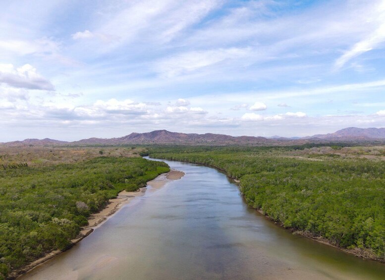 Picture 1 for Activity Tamarindo Estuary: Kayak Monkey Tour