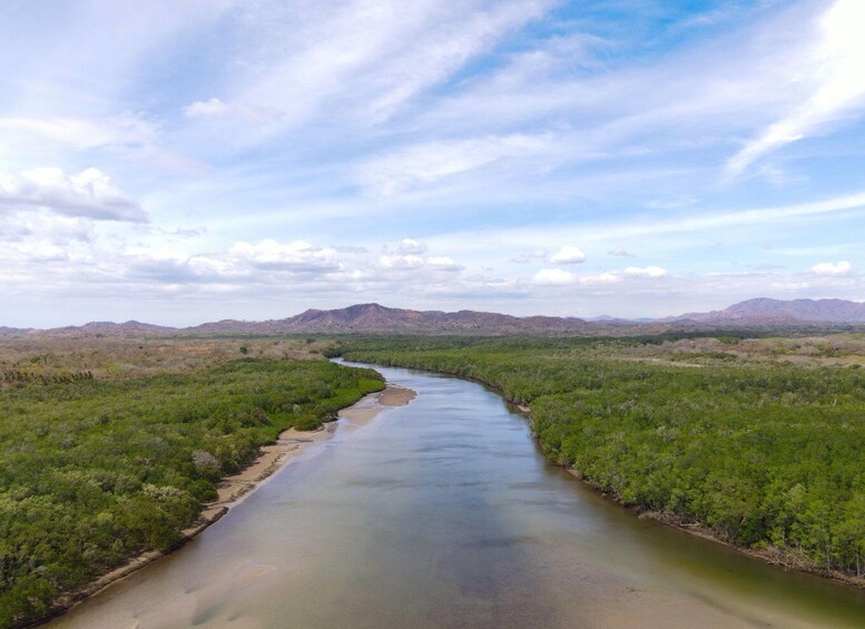 Picture 1 for Activity Tamarindo Estuary: Kayak Monkey Tour