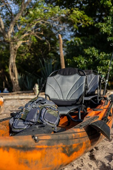 Picture 8 for Activity Tamarindo Estuary: Kayak Monkey Tour