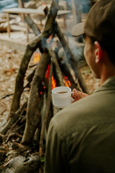 Picture 5 for Activity Bel Ombre Nature Reserve: Picnics Pod Experience