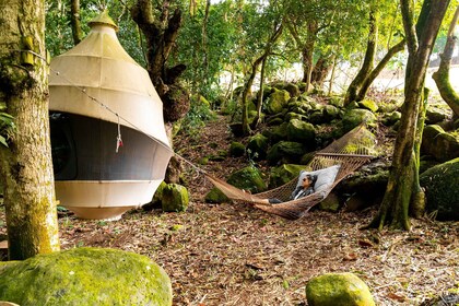 Bel Ombre Naturreservat: Picknick-Pod-Erlebnis