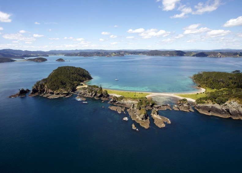 Picture 7 for Activity Paihia/Russell: Hole in the Rock Cruise with 2 Island Stops