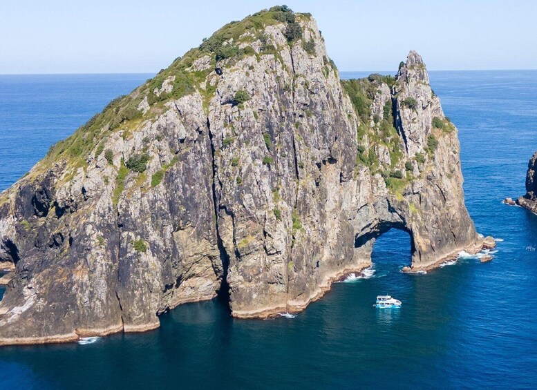 Paihia/Russell: Hole in the Rock Cruise with 2 Island Stops