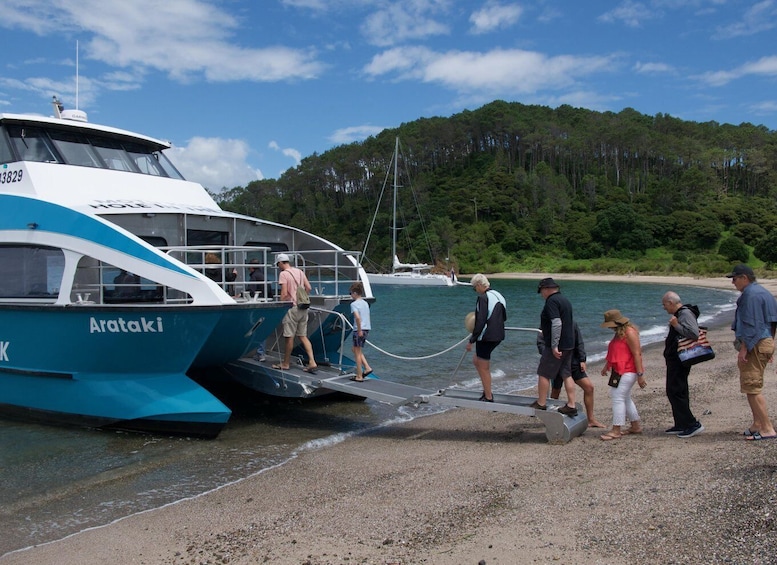 Picture 2 for Activity Paihia/Russell: Hole in the Rock Cruise with 2 Island Stops