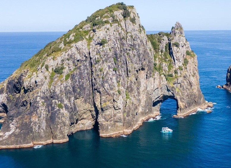 Paihia/Russell: Hole in the Rock Cruise with 2 Island Stops