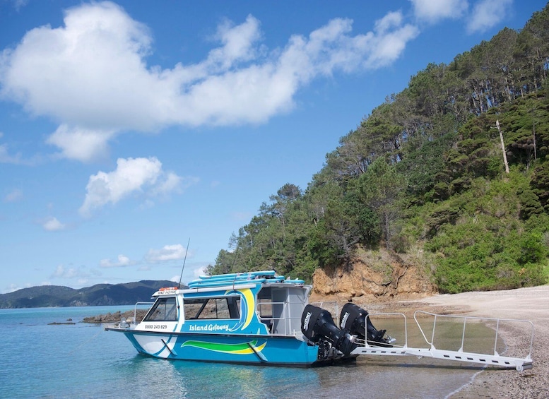 Picture 5 for Activity Paihia/Russell: Hole in the Rock Cruise with 2 Island Stops