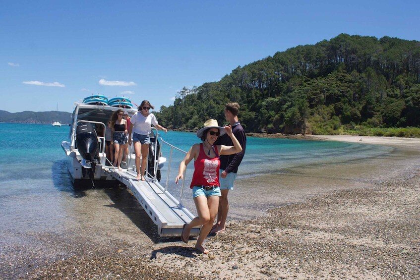 Picture 4 for Activity Paihia/Russell: Hole in the Rock Cruise with 2 Island Stops