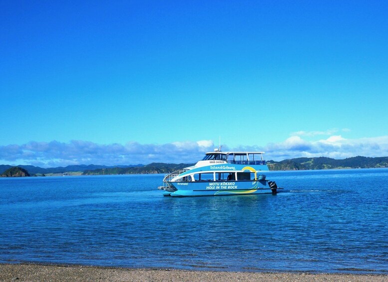 Picture 9 for Activity Paihia/Russell: Hole in the Rock Cruise with 2 Island Stops