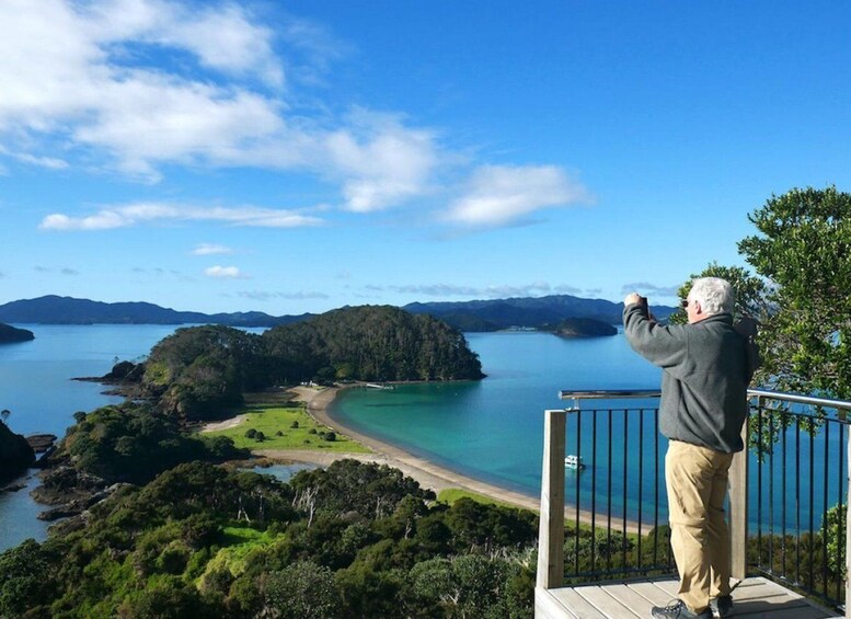 Picture 8 for Activity Paihia/Russell: Hole in the Rock Cruise with 2 Island Stops