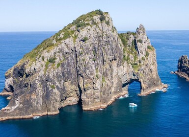 Paihia/Russell: Hole in the Rock Cruise met 2 eilandstops