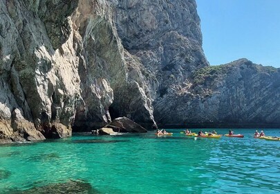 Sesimbra: recorrido en barco privado: playas salvajes, bahías secretas, cue...