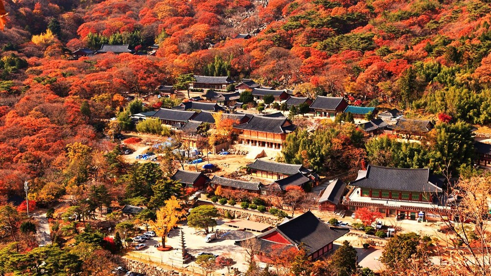 Aerial photo of historical buildings in Busan