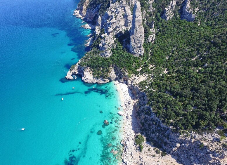 From Arbatax: Full-Day Guided Boat Tour of the Baunei Coast