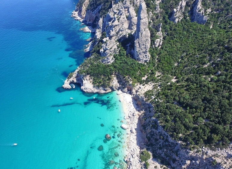 From Arbatax: Full-Day Guided Boat Tour of the Baunei Coast