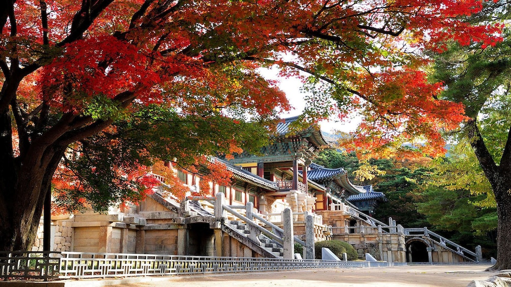 Large temple in Gyeongju