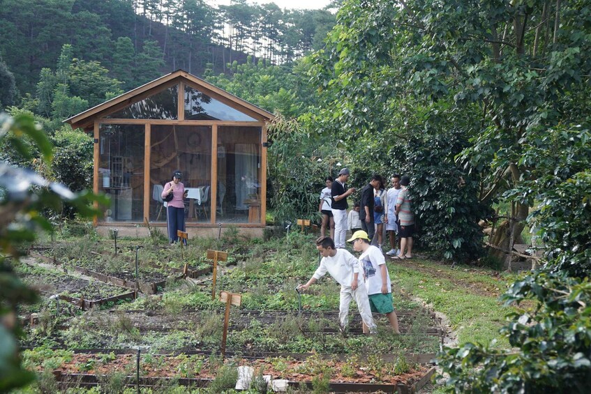 Picture 2 for Activity Scented candle workshop at Twin Beans Farm - Da Lat suburb