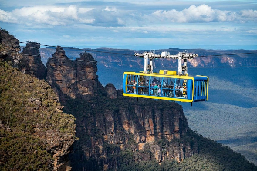 Picture 12 for Activity From Sydney: Blue Mountains, Scenic Railway, & Sydney Zoo