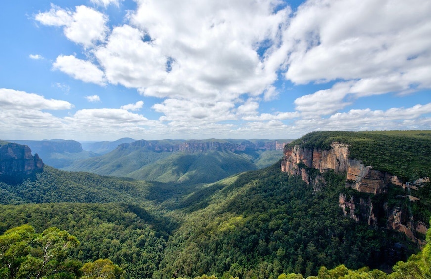 Picture 3 for Activity From Sydney: Blue Mountains Deluxe Tour