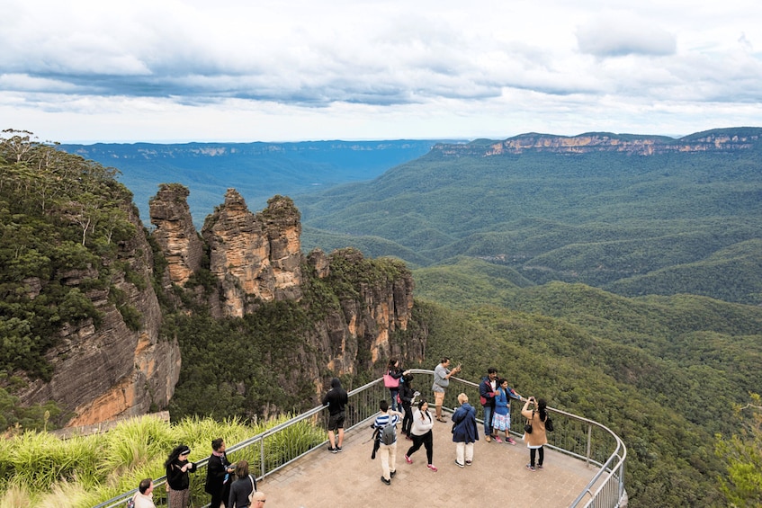 Picture 4 for Activity From Sydney: Blue Mountains, Scenic Railway, & Sydney Zoo