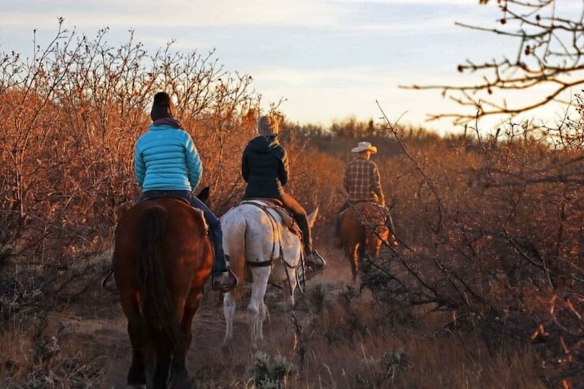 Picture 1 for Activity Orderville: Checkerboard Mesa Guided Sunset Horseback Ride