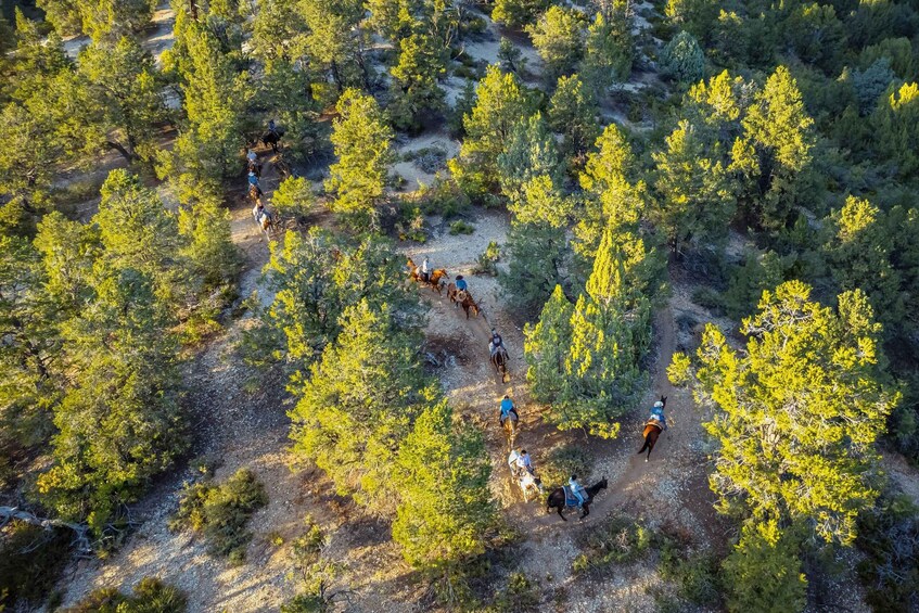 Picture 12 for Activity Orderville: Checkerboard Evening Shadow Horseback Ride