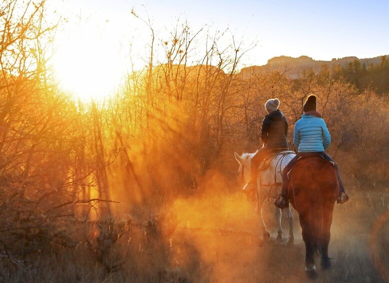 Picture 4 for Activity Orderville: Checkerboard Evening Shadow Horseback Ride