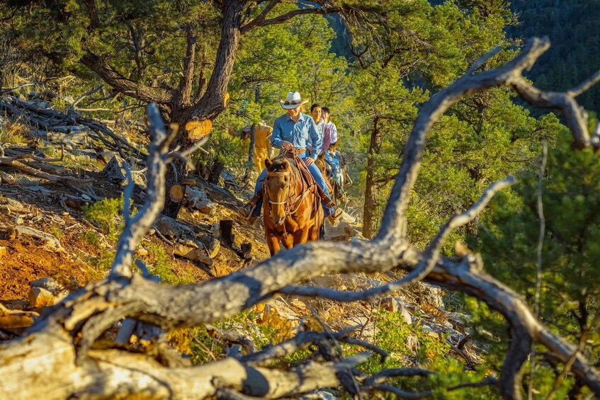 Picture 6 for Activity Orderville: Checkerboard Evening Shadow Horseback Ride