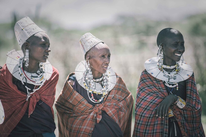 Picture 4 for Activity 4 days joint camp safari :Serengeti, Ngoro Ngoro & Tarangire