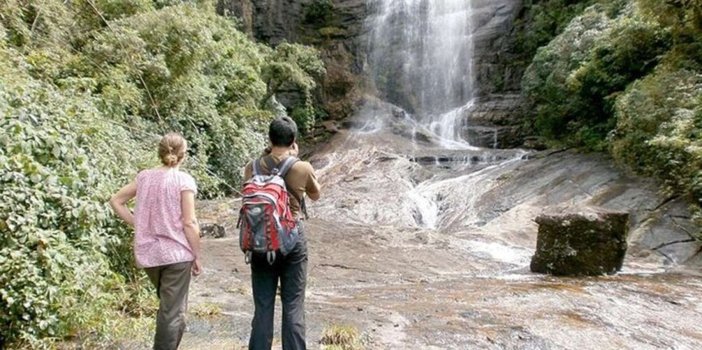 Picture 3 for Activity Knuckles Wilderness Waterfall Trek:Comprehensive Adventure