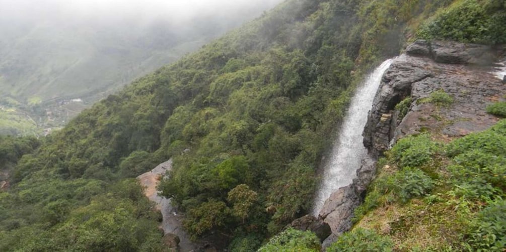 Knuckles Wilderness Waterfall Trek:Comprehensive Adventure