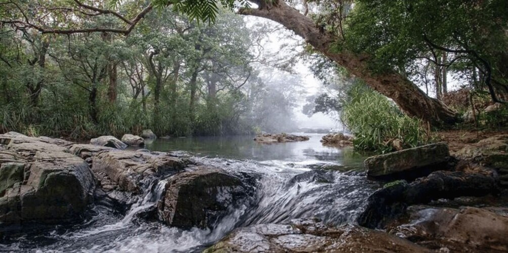 Picture 2 for Activity Knuckles Wilderness Waterfall Trek:Comprehensive Adventure