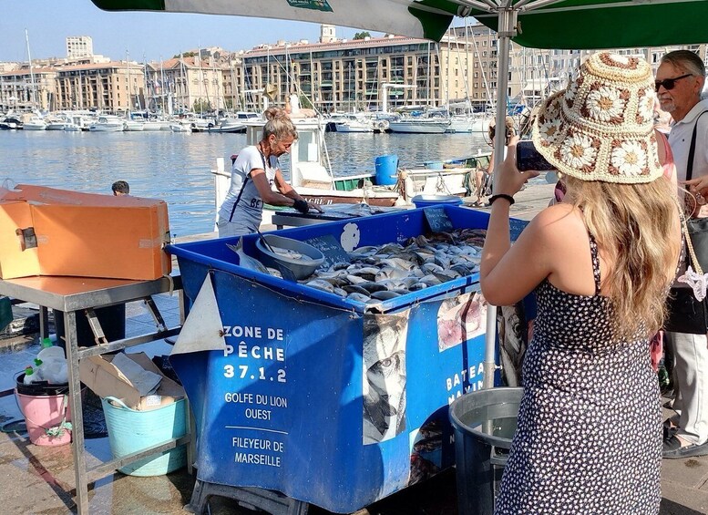 Picture 3 for Activity Marseille: Baptism of Diving on the island of "Frioul"