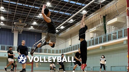 Volleyball in Osaka & Kyoto with locals!